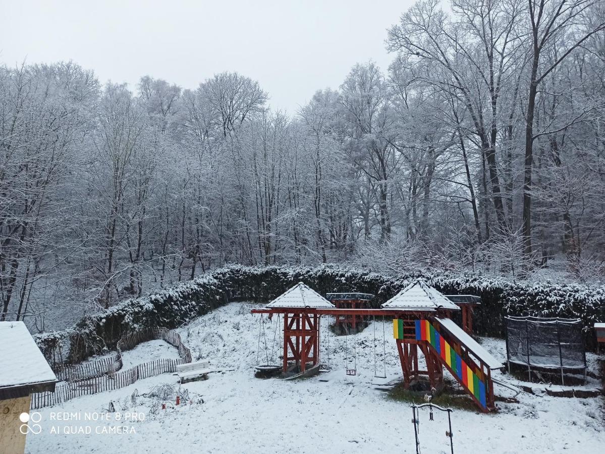 Pension Waldsauna Arnsberg Exterior foto